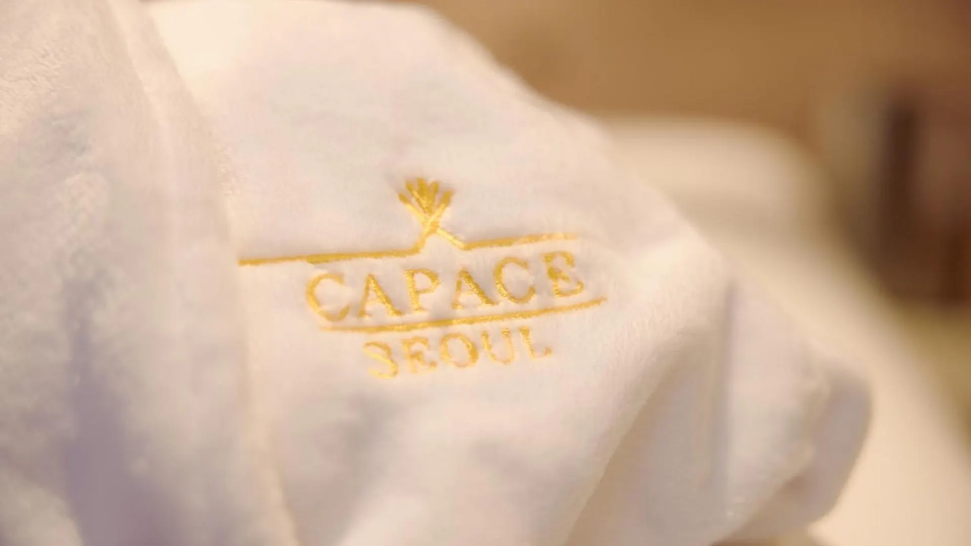 Capace Hotel Gangnam Seoul